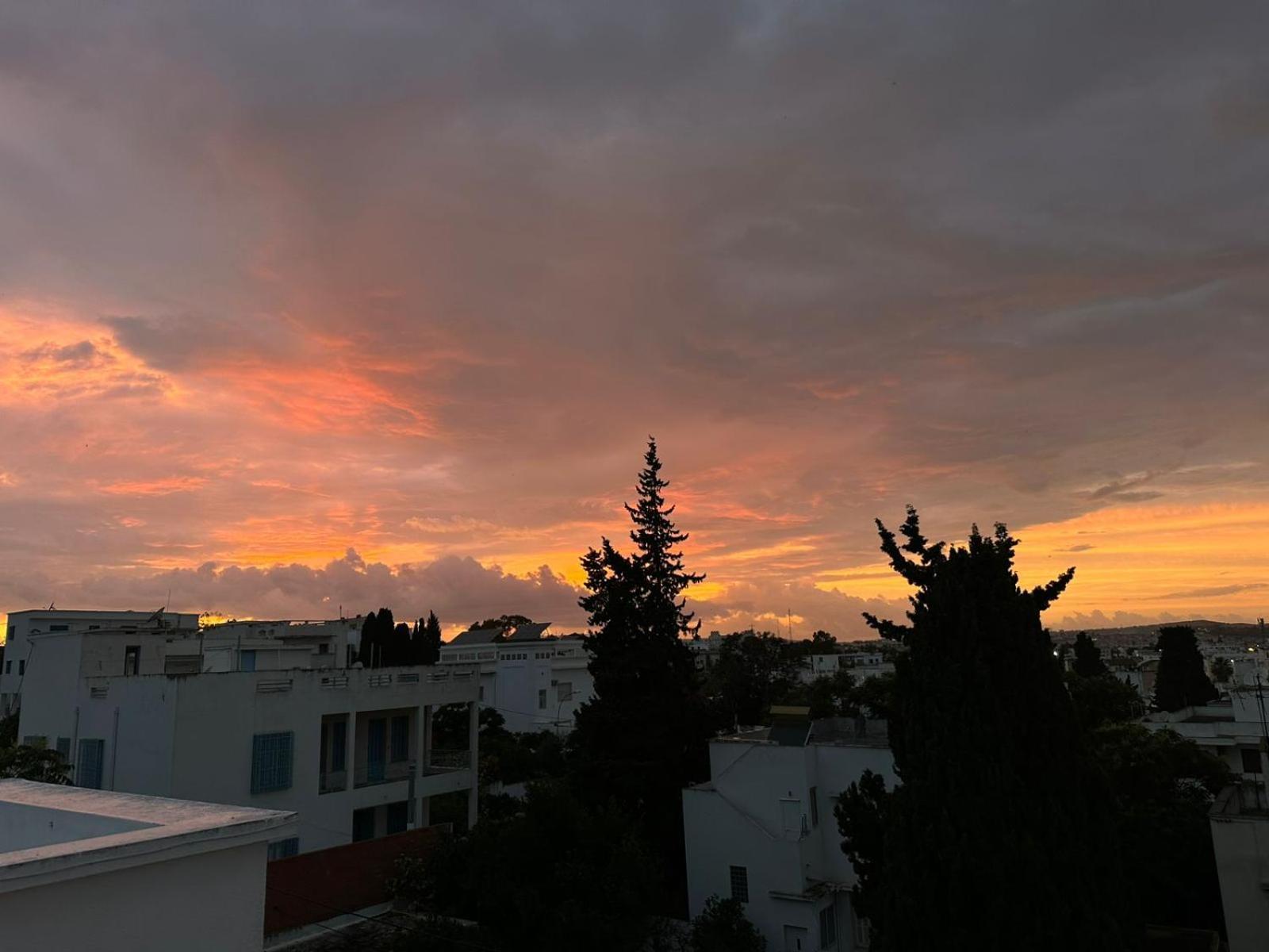 Nomads Hostel Tunisia Eksteriør billede